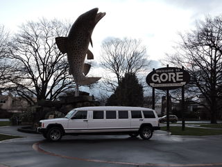 GORE SIGHTSEEING TOUR